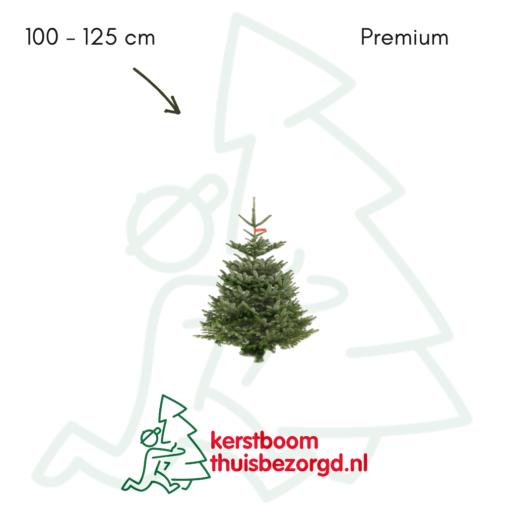 Nordmann premium kerstboom