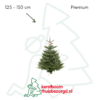 Nordmann premium kerstboom