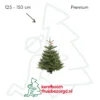 Nordmann premium kerstboom