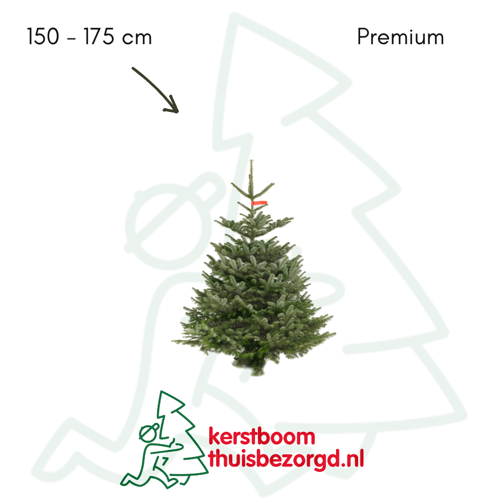 Nordmann premium kerstboom