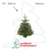 Nordmann premium kerstboom