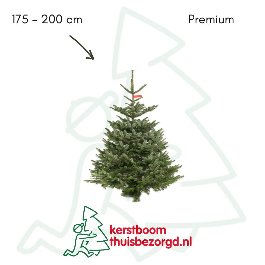 Nordmann premium kerstboom