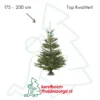 Nordmann kerstboom