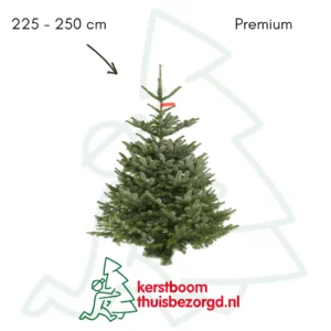 Nordmann premium kerstboom
