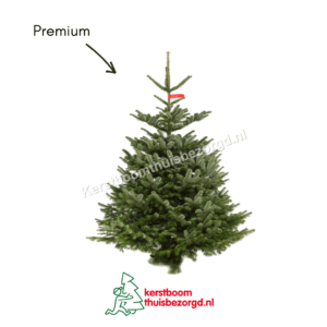 Premium Kwaliteit Kerstbomen