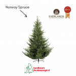 Norway Spruce Kunstkerstboom