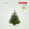 Nordmann Premium kerstboom 125-150 cm