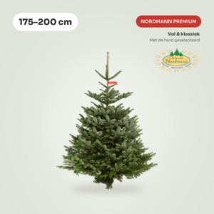 Nordmann Premium kerstboom 175-200 cm