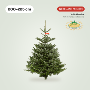 Nordmann Premium kerstboom 200-225 cm