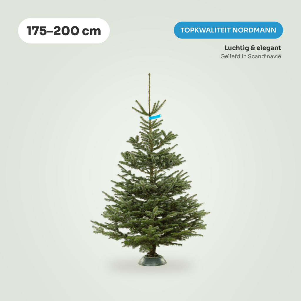 Nordmann Top kerstboom 175-200 cm