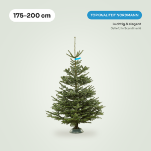 Nordmann Top kerstboom 175-200 cm