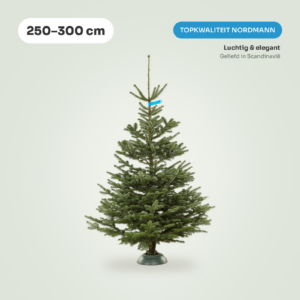 Nordmann Top kerstboom 250-300 cm